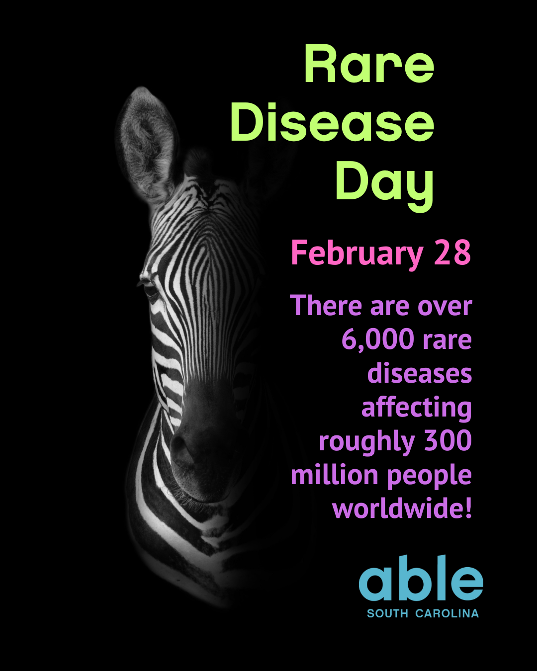 Graphic with profile of zebra and text reading, 'Rare Disease Day, Feb. 28, There are over 6,000 rare diseases affecting roughly 300 million people worldwide!' Followed by Able SC logo. Text is in day colors of green, pink, purple, and blue.