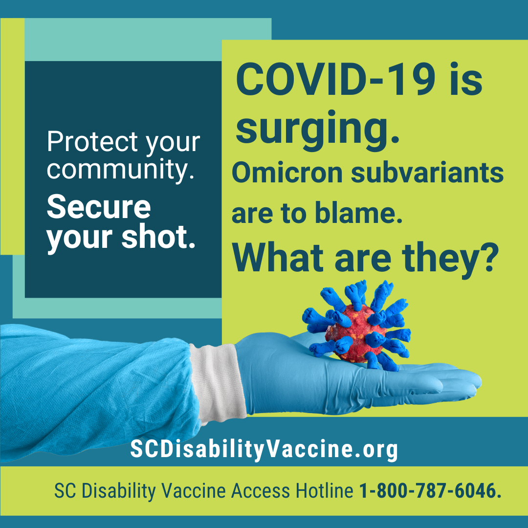 Graphic with teal and green blocks with text reading, 'Protect your community, secure your shot. COVID-19 is surging. Omicron subvariants are to blame. What are they? SCDisabilityVaccine.org. SC Disability Vaccine Access Hotline 1-800-787-6046.' Includes cut-out photo of a gloved hand holding a clay figure of a virus with spike proteins.