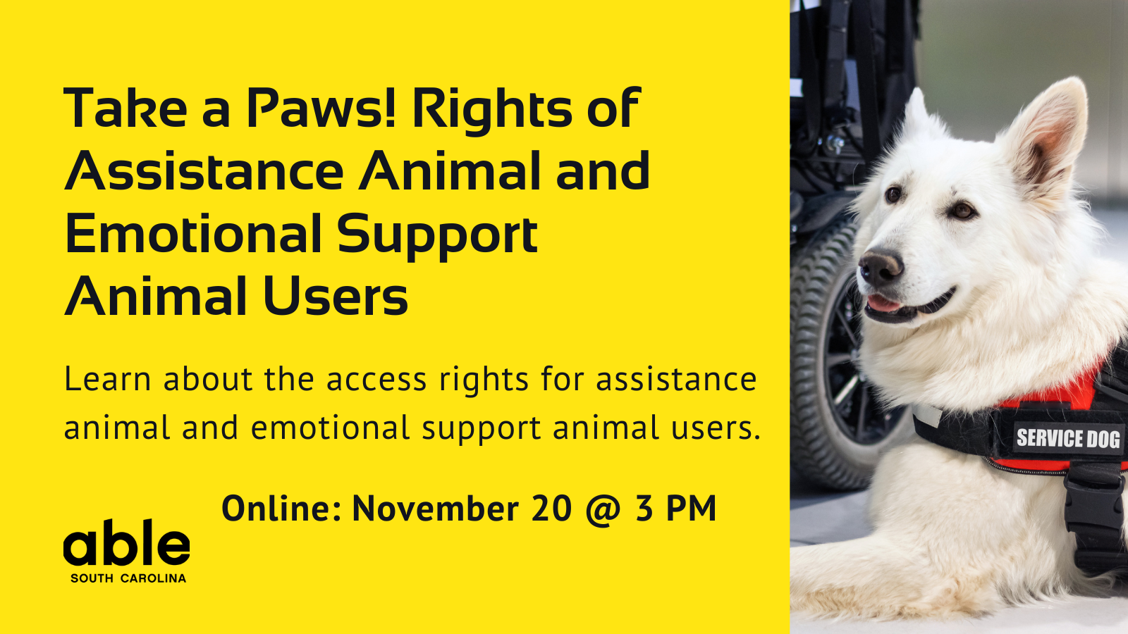 Yellow background graphic with text reading, 'Take a paws! Rights of assistance animal and emotional support animal users. Online- November 20 @ 3 pm.' Features photo of a service dog to the right and Able SC logo to the left.